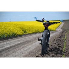 Електричний байк Avanti 1500W 