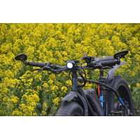 Електричний байк Avanti 1500W 
