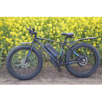 Електричний байк Avanti 1500W 